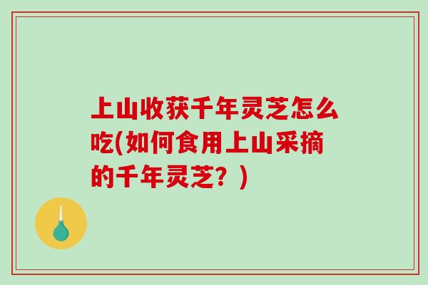 上山收获千年灵芝怎么吃(如何食用上山采摘的千年灵芝？)