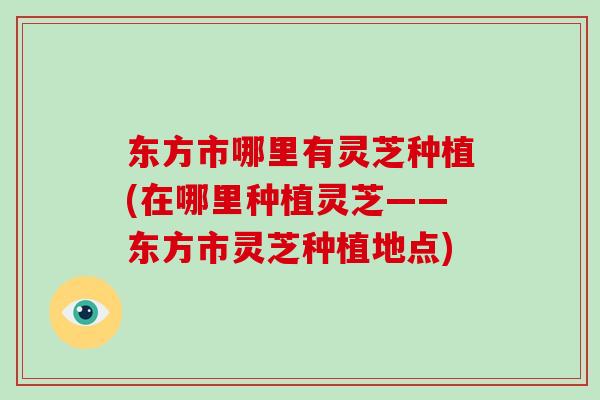 东方市哪里有灵芝种植(在哪里种植灵芝——东方市灵芝种植地点)