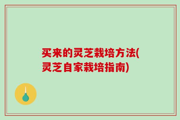 买来的灵芝栽培方法(灵芝自家栽培指南)