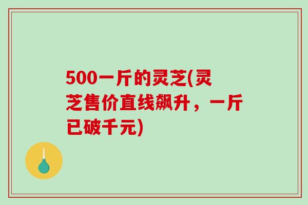500一斤的灵芝(灵芝售价直线飙升，一斤已破千元)