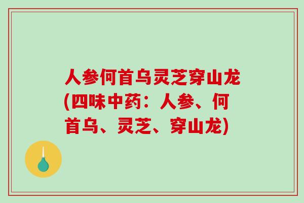 人参何首乌灵芝穿山龙(四味：人参、何首乌、灵芝、穿山龙)
