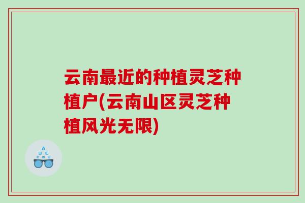 云南近的种植灵芝种植户(云南山区灵芝种植风光无限)