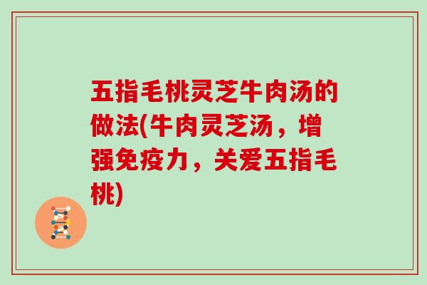 五指毛桃灵芝牛肉汤的做法(牛肉灵芝汤，增强免疫力，关爱五指毛桃)