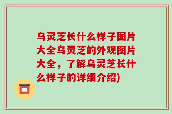 乌灵芝长什么样子图片大全乌灵芝的外观图片大全，了解乌灵芝长什么样子的详细介绍)