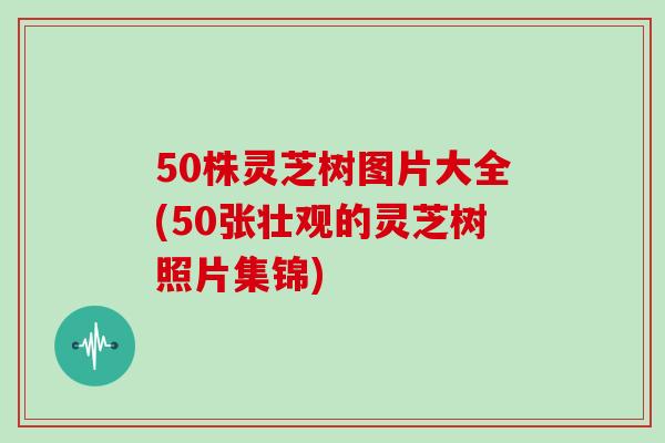 50株灵芝树图片大全(50张壮观的灵芝树照片集锦)