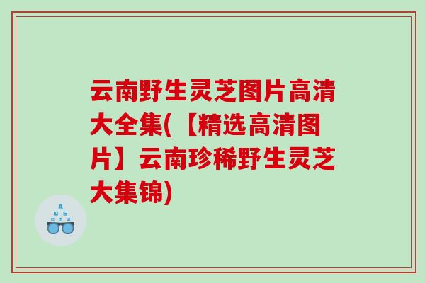 云南野生灵芝图片高清大全集(【精选高清图片】云南珍稀野生灵芝大集锦)
