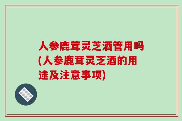 人参鹿茸灵芝酒管用吗(人参鹿茸灵芝酒的用途及注意事项)
