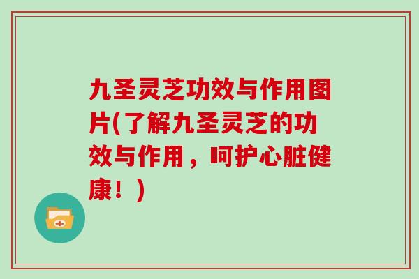 九圣灵芝功效与作用图片(了解九圣灵芝的功效与作用，呵护健康！)