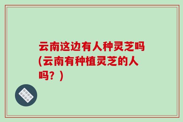 云南这边有人种灵芝吗(云南有种植灵芝的人吗？)
