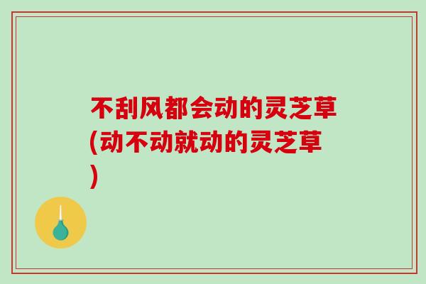 不刮风都会动的灵芝草(动不动就动的灵芝草)
