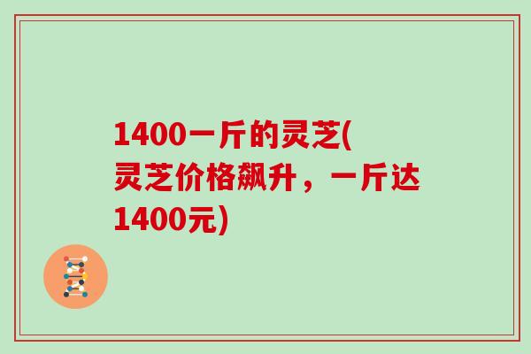 1400一斤的灵芝(灵芝价格飙升，一斤达1400元)