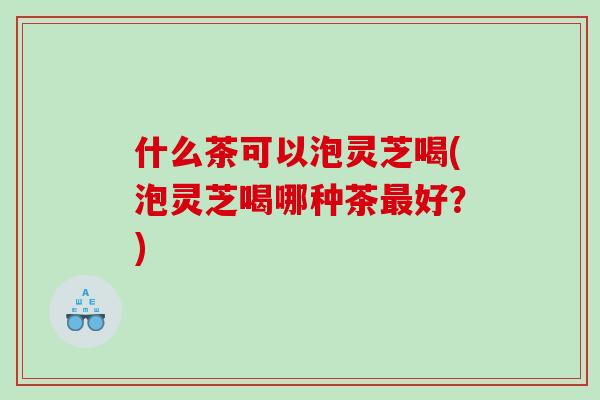 什么茶可以泡灵芝喝(泡灵芝喝哪种茶好？)