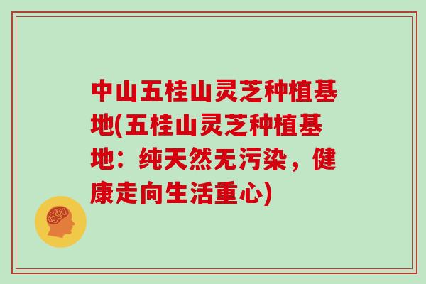 中山五桂山灵芝种植基地(五桂山灵芝种植基地：纯天然无污染，健康走向生活重心)