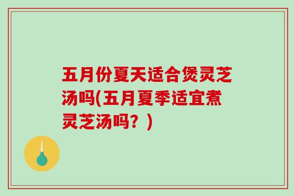 五月份夏天适合煲灵芝汤吗(五月夏季适宜煮灵芝汤吗？)