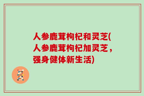 人参鹿茸枸杞和灵芝(人参鹿茸枸杞加灵芝，强身健体新生活)