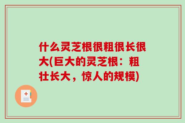 什么灵芝根很粗很长很大(巨大的灵芝根：粗壮长大，惊人的规模)