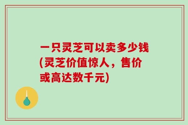 一只灵芝可以卖多少钱(灵芝价值惊人，售价或高达数千元)