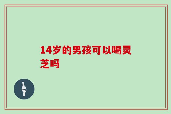 14岁的男孩可以喝灵芝吗