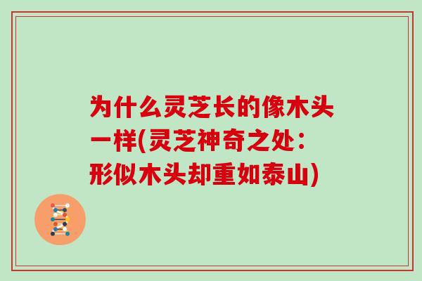 为什么灵芝长的像木头一样(灵芝神奇之处：形似木头却重如泰山)
