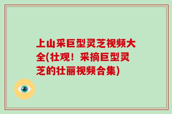 上山采巨型灵芝视频大全(壮观！采摘巨型灵芝的壮丽视频合集)