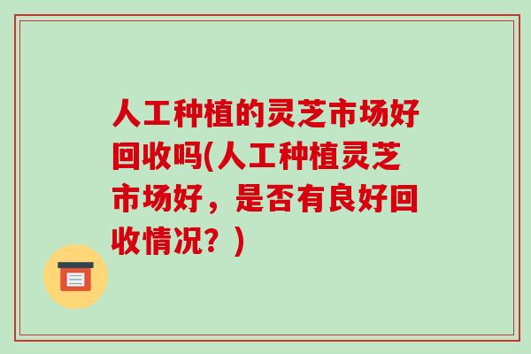 人工种植的灵芝市场好回收吗(人工种植灵芝市场好，是否有良好回收情况？)