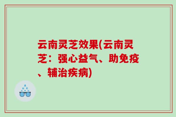 云南灵芝效果(云南灵芝：强心益气、助免疫、辅)