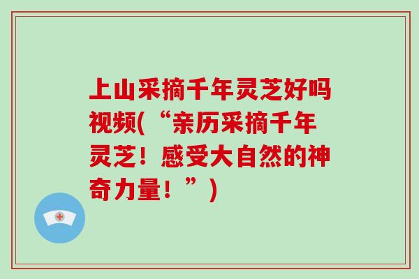 上山采摘千年灵芝好吗视频(“亲历采摘千年灵芝！感受大自然的神奇力量！”)