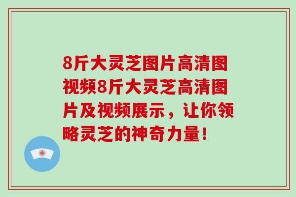 8斤大灵芝图片高清图视频8斤大灵芝高清图片及视频展示，让你领略灵芝的神奇力量！