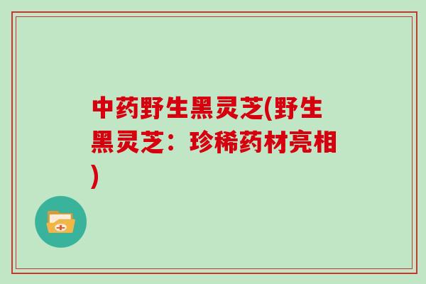 野生黑灵芝(野生黑灵芝：珍稀药材亮相)