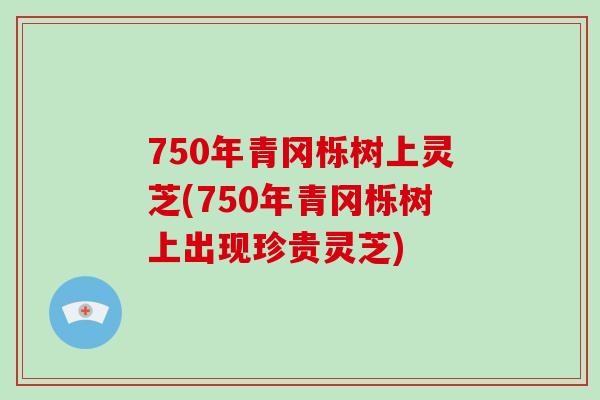 750年青冈栎树上灵芝(750年青冈栎树上出现珍贵灵芝)