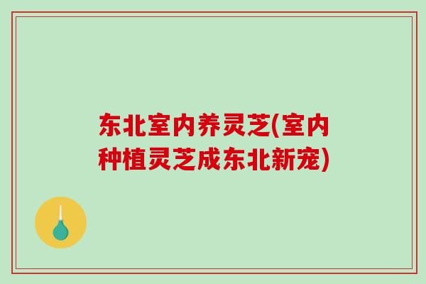 东北室内养灵芝(室内种植灵芝成东北新宠)