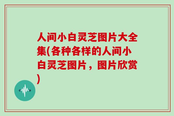 人间小白灵芝图片大全集(各种各样的人间小白灵芝图片，图片欣赏)