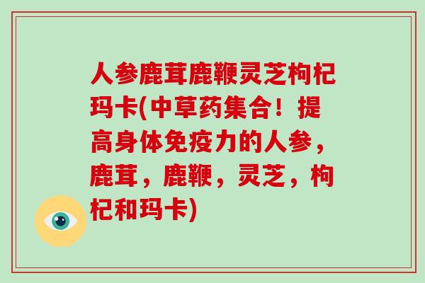 人参鹿茸鹿鞭灵芝枸杞玛卡(中草药集合！提高身体免疫力的人参，鹿茸，鹿鞭，灵芝，枸杞和玛卡)