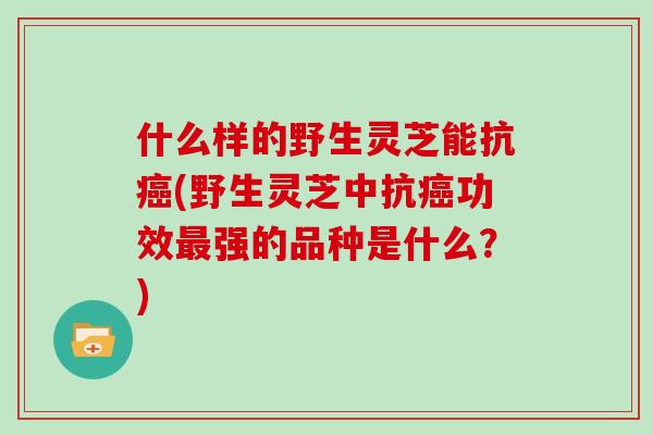 什么样的野生灵芝能抗(野生灵芝中抗功效强的品种是什么？)
