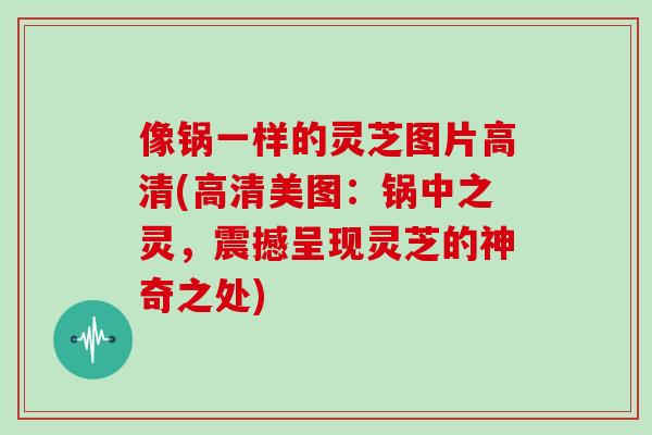像锅一样的灵芝图片高清(高清美图：锅中之灵，震撼呈现灵芝的神奇之处)