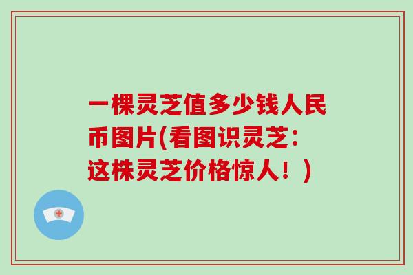 一棵灵芝值多少钱人民币图片(看图识灵芝：这株灵芝价格惊人！)