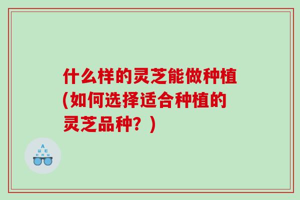 什么样的灵芝能做种植(如何选择适合种植的灵芝品种？)