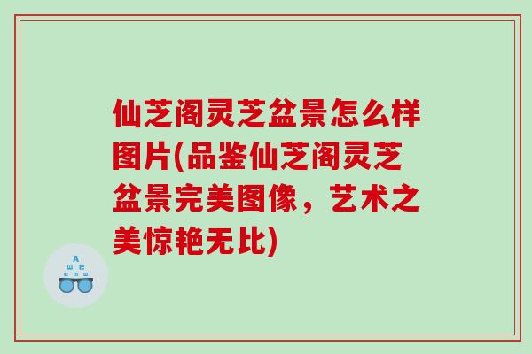 仙芝阁灵芝盆景怎么样图片(品鉴仙芝阁灵芝盆景完美图像，艺术之美惊艳无比)