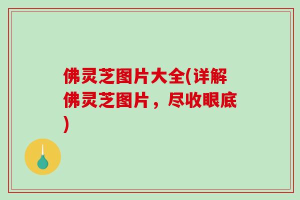 佛灵芝图片大全(详解佛灵芝图片，尽收眼底)