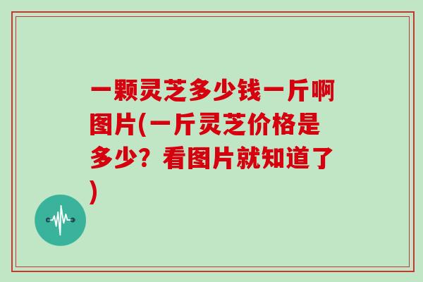 一颗灵芝多少钱一斤啊图片(一斤灵芝价格是多少？看图片就知道了)