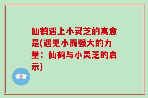 仙鹤遇上小灵芝的寓意是(遇见小而强大的力量：仙鹤与小灵芝的启示)
