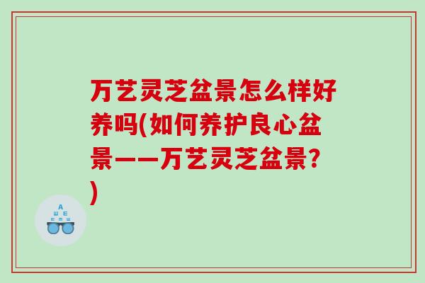 万艺灵芝盆景怎么样好养吗(如何养护良心盆景——万艺灵芝盆景？)