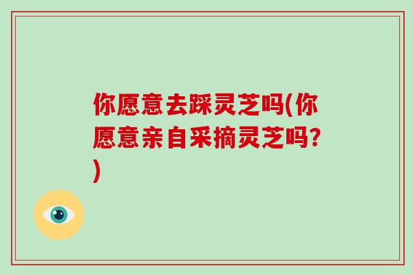 你愿意去踩灵芝吗(你愿意亲自采摘灵芝吗？)