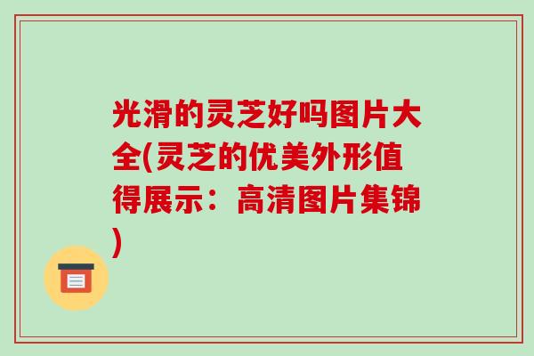 光滑的灵芝好吗图片大全(灵芝的优美外形值得展示：高清图片集锦)