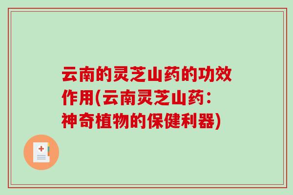 云南的灵芝山药的功效作用(云南灵芝山药：神奇植物的保健利器)