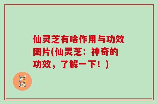 仙灵芝有啥作用与功效图片(仙灵芝：神奇的功效，了解一下！)