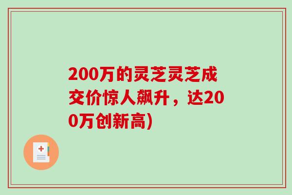 200万的灵芝灵芝成交价惊人飙升，达200万创新高)