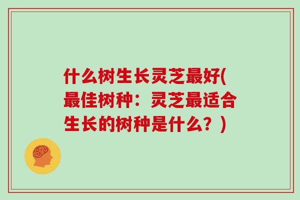 什么树生长灵芝好(佳树种：灵芝适合生长的树种是什么？)