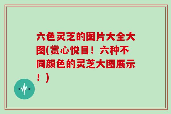 六色灵芝的图片大全大图(赏心悦目！六种不同颜色的灵芝大图展示！)