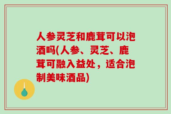 人参灵芝和鹿茸可以泡酒吗(人参、灵芝、鹿茸可融入益处，适合泡制美味酒品)